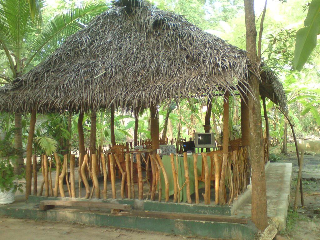 Coconut Park Bed & Breakfast Anuradhapura Luaran gambar