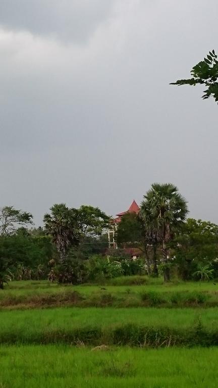 Coconut Park Bed & Breakfast Anuradhapura Luaran gambar