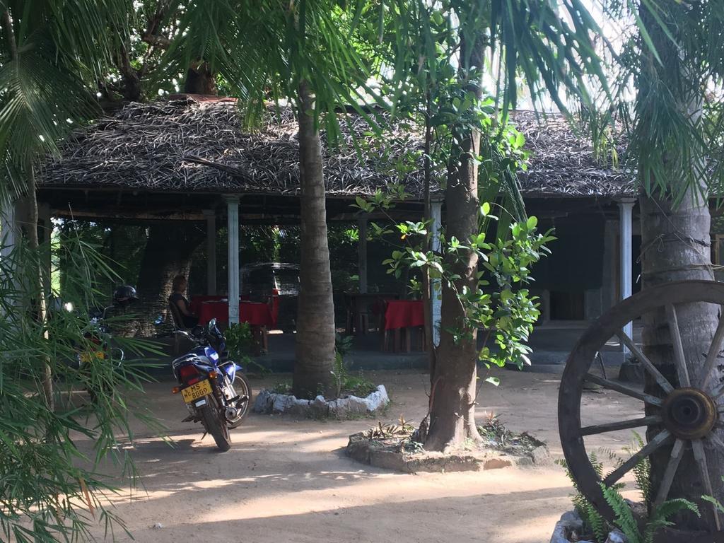 Coconut Park Bed & Breakfast Anuradhapura Luaran gambar