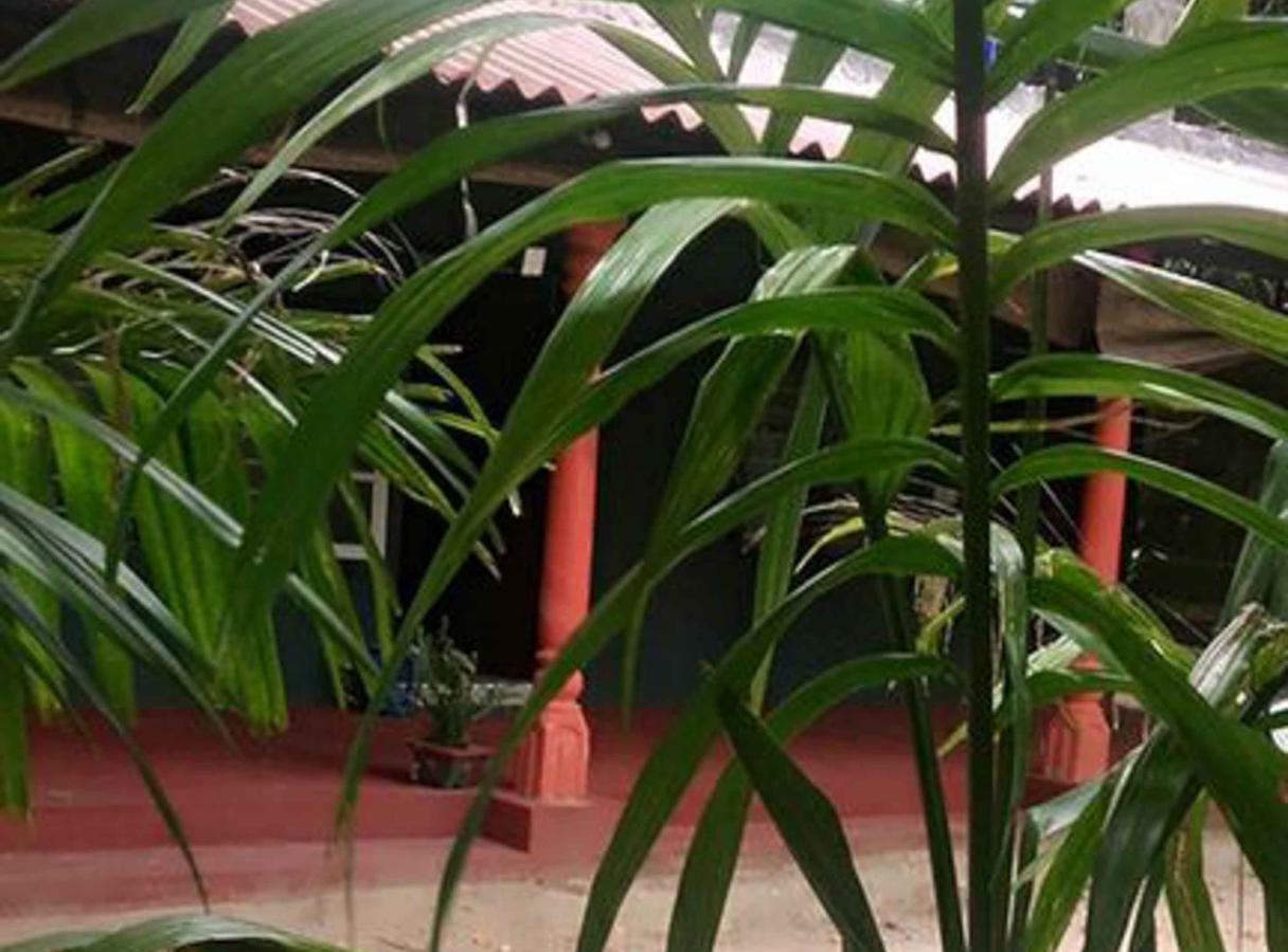 Coconut Park Bed & Breakfast Anuradhapura Luaran gambar